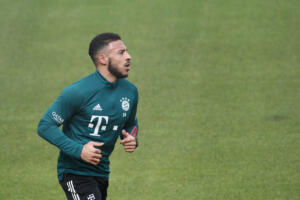 lione tolisso