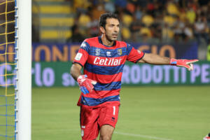 Buffon