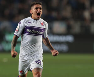 Torreira