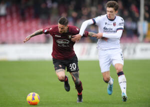 Salernitana Bologna Zortea