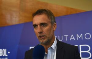 Nuovo Franchi Batistuta