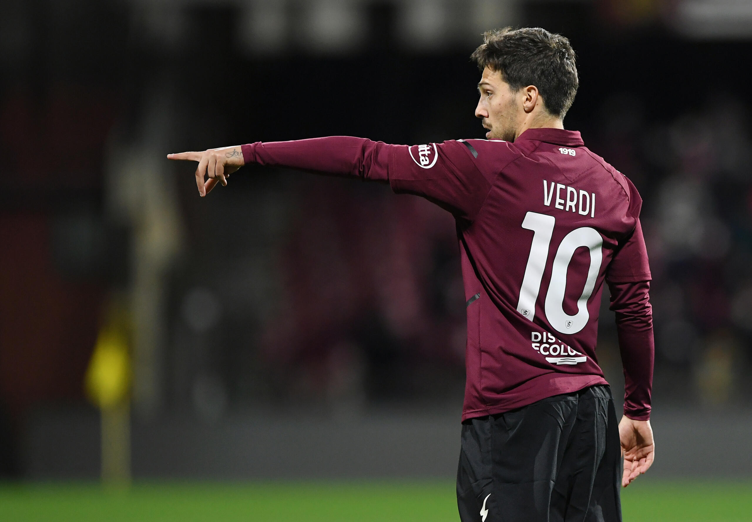 salernitana verdi