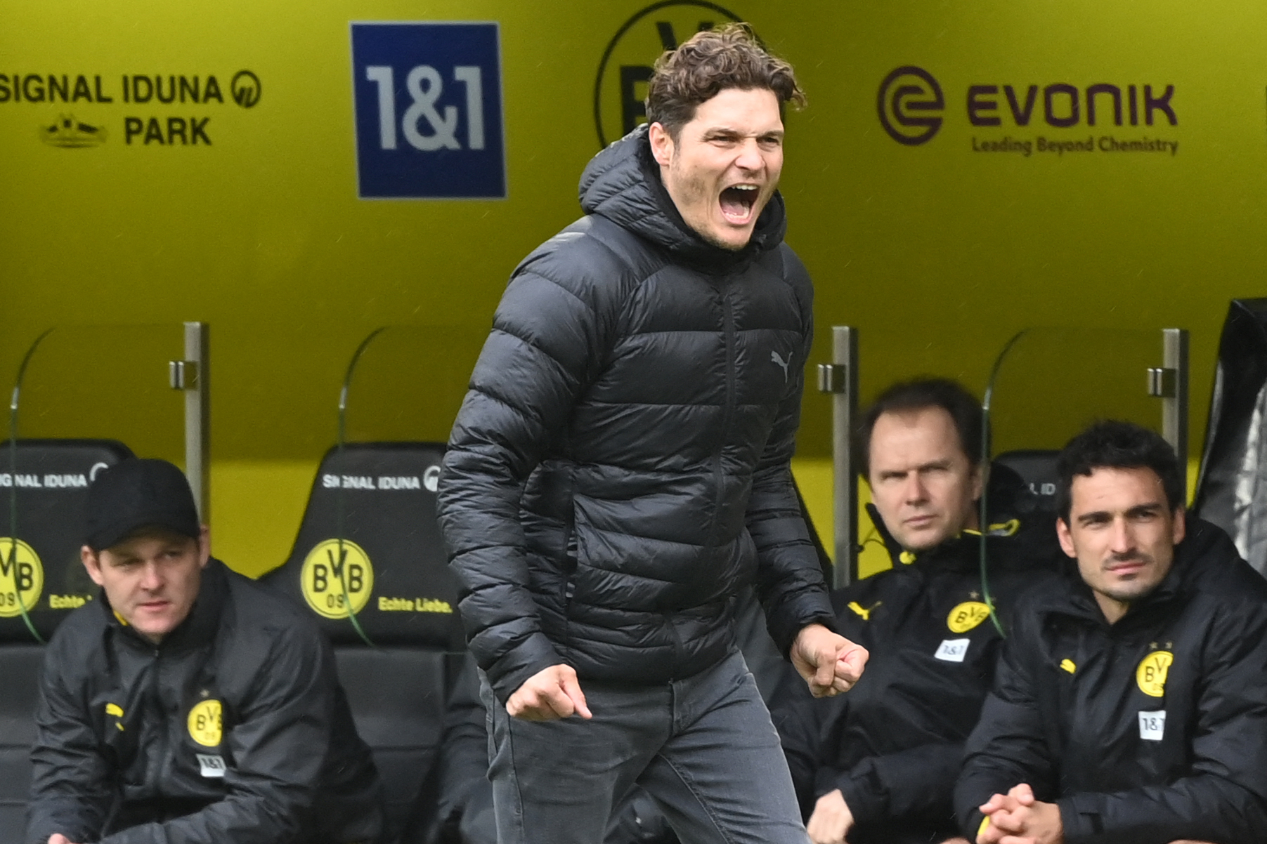 Borussia Terzic