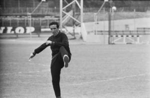 Inter Herrera