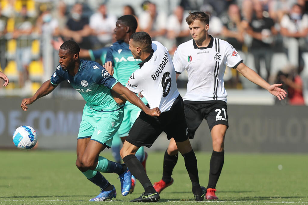 Udinese Spezia statistiche precedenti probabili formazioni