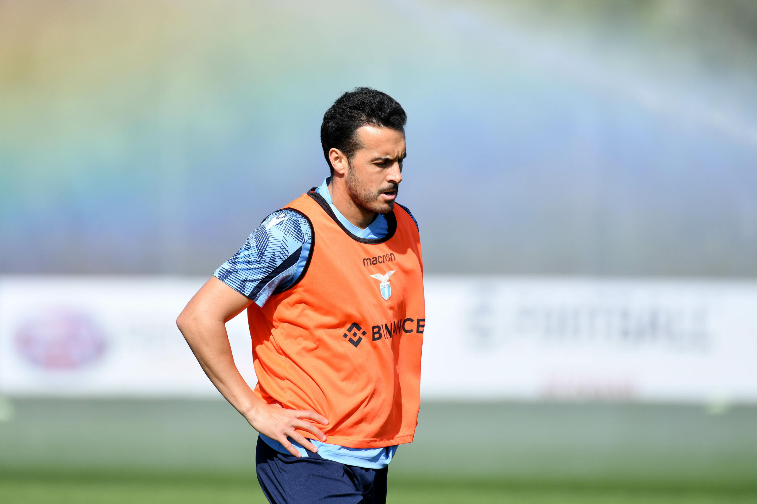Condizioni Pedro