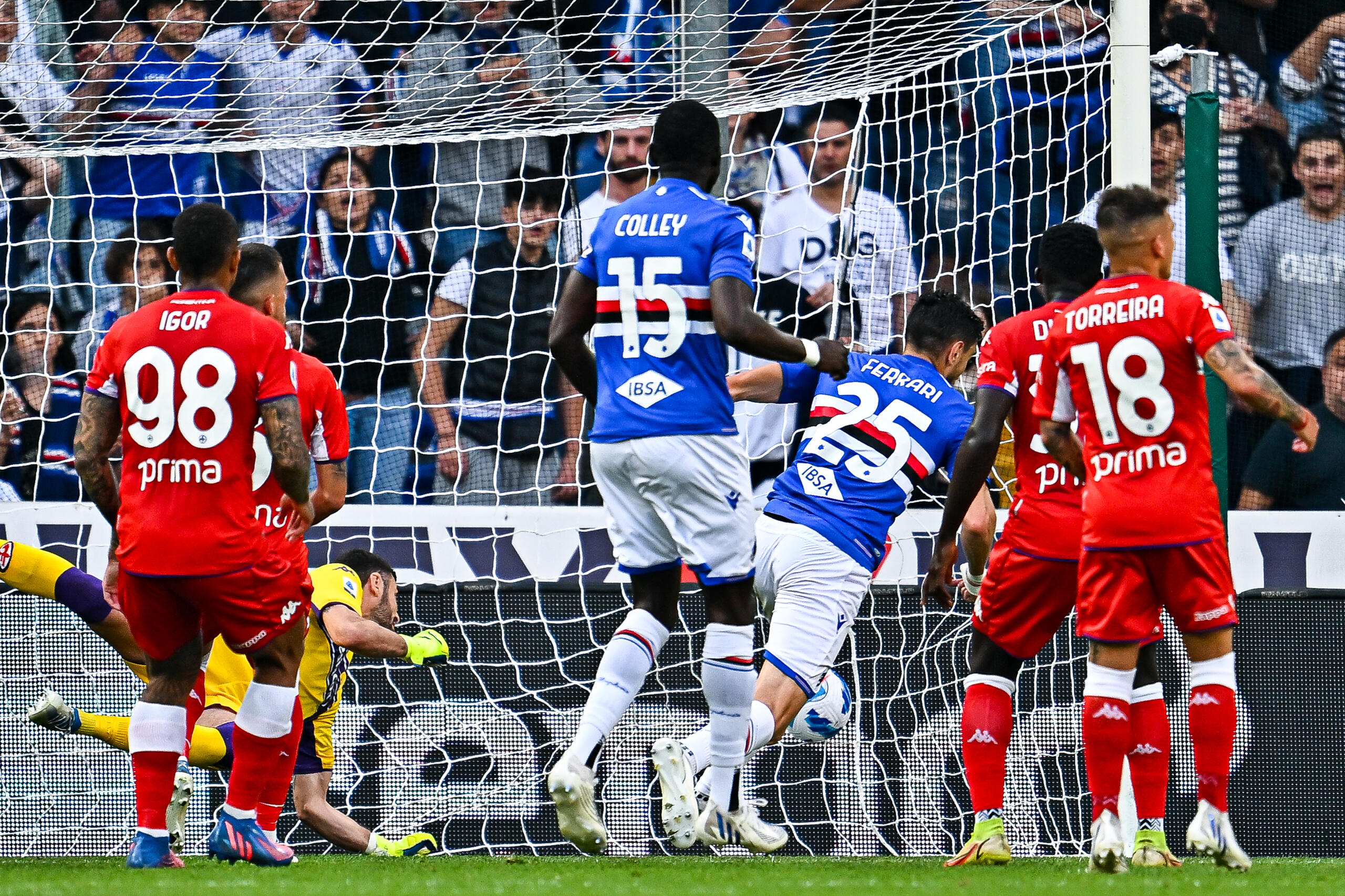 Sampdoria Fiorentina