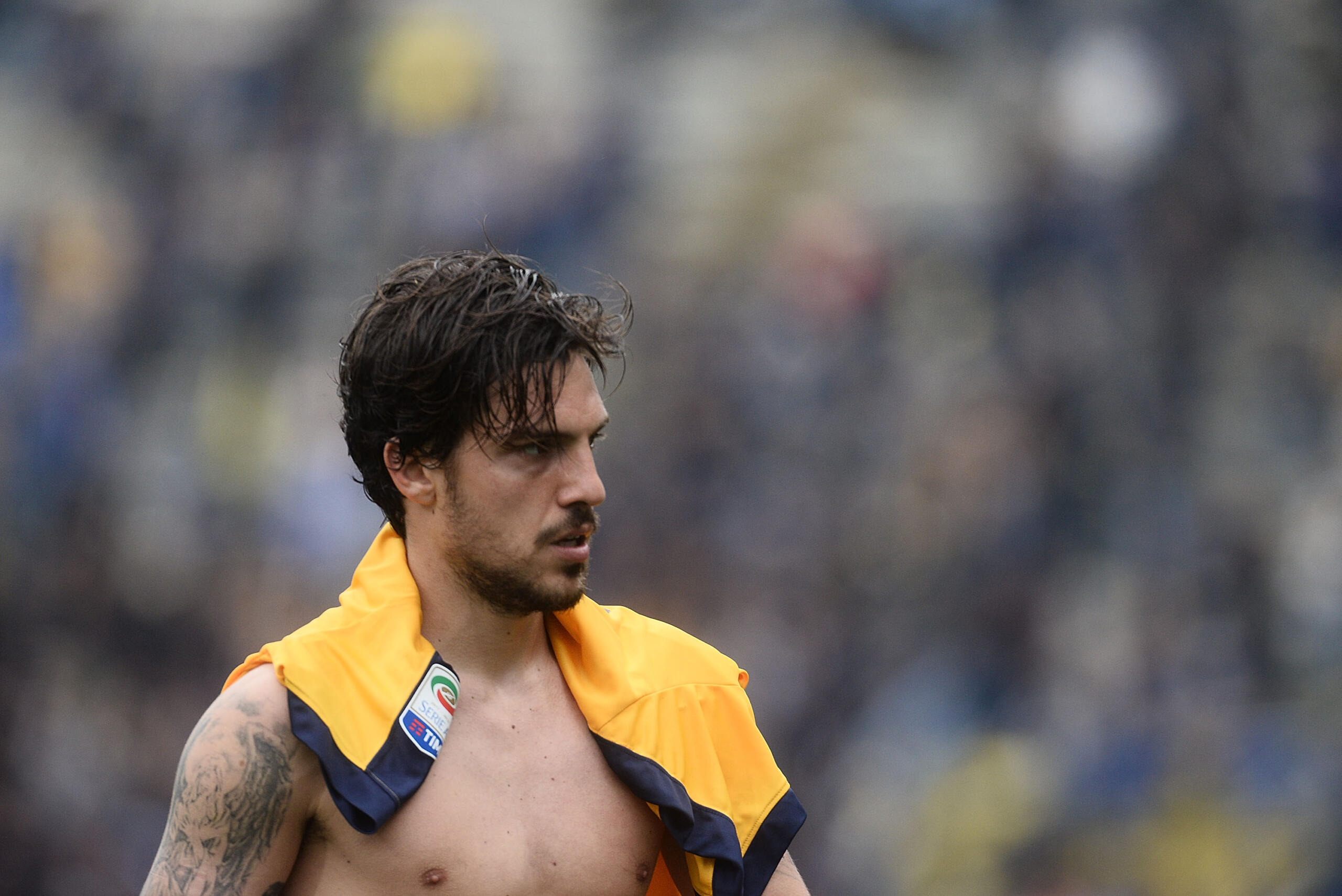 hellas verona verdi
