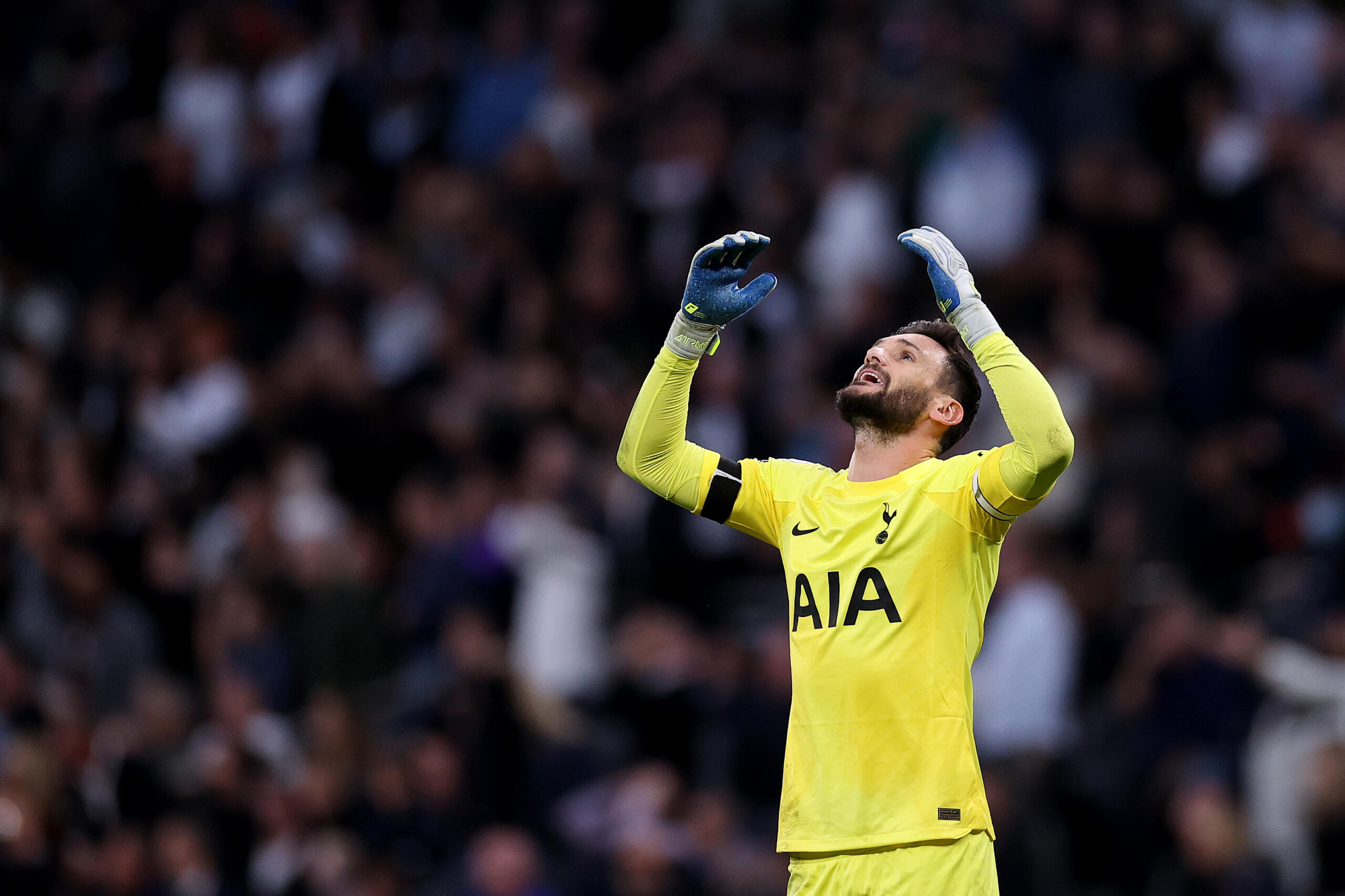 Tottenham Lloris