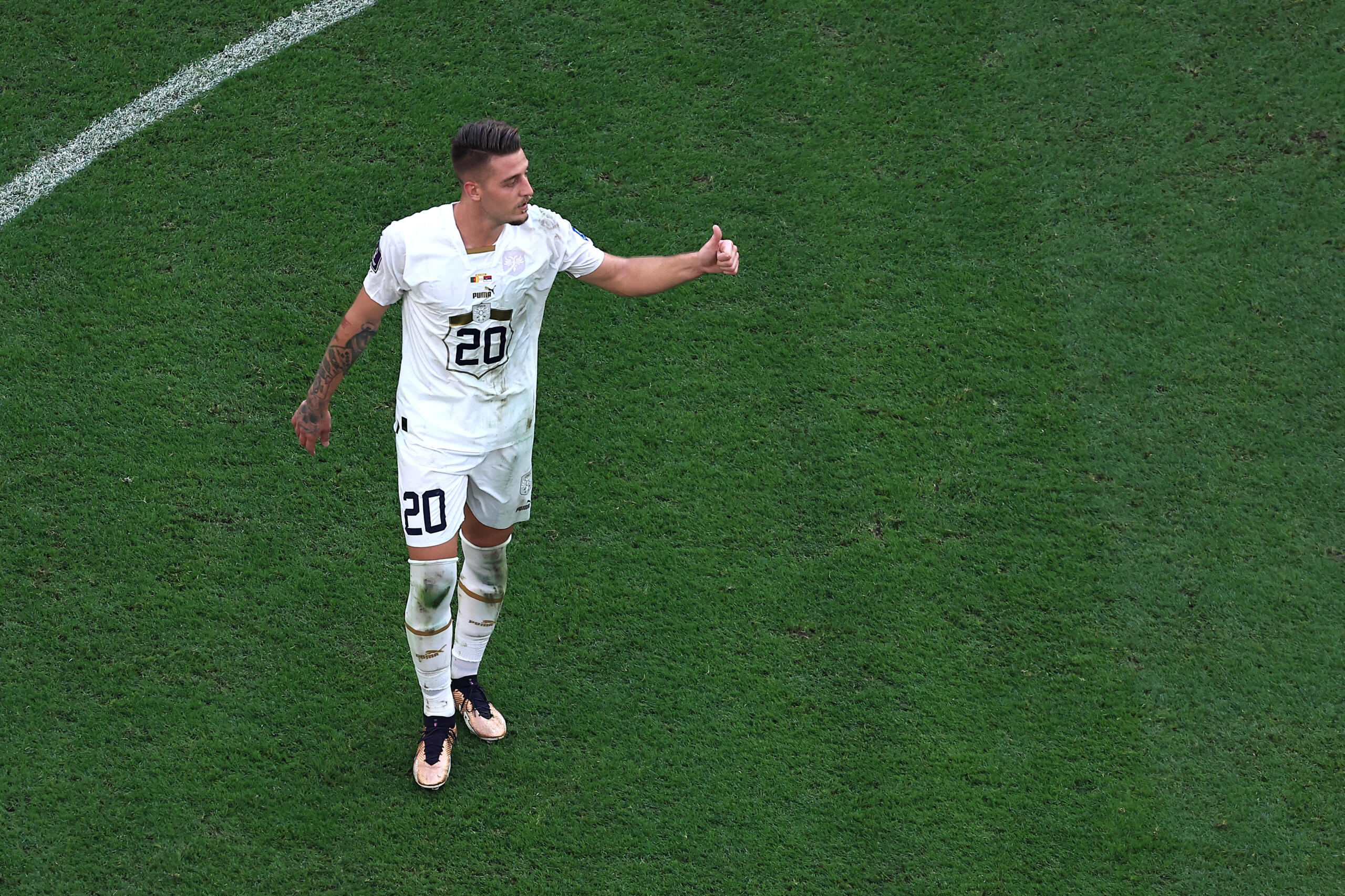 Milinkovic-Savic caviglia