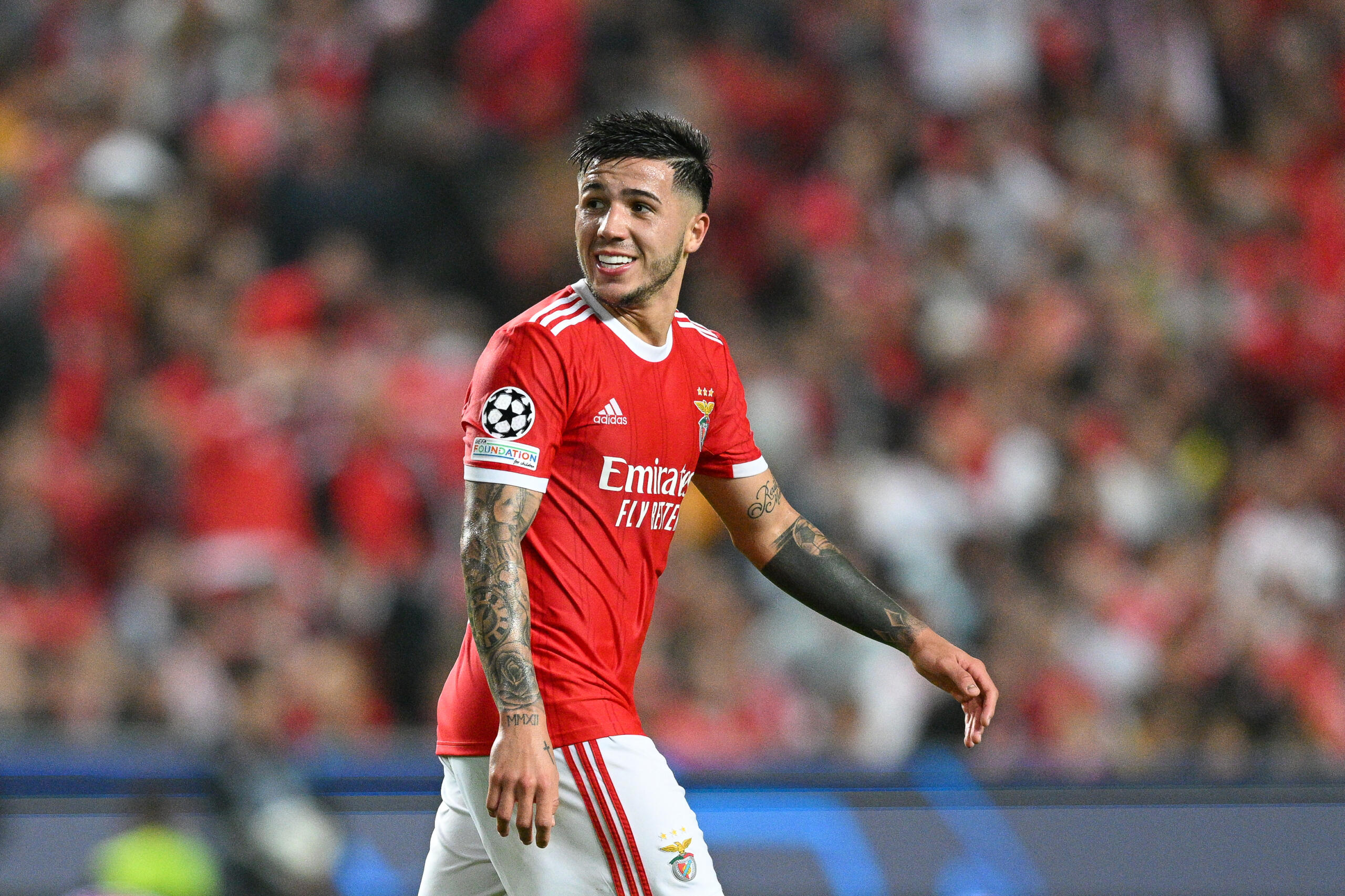 Enzo Fernandez Chelsea Benfica