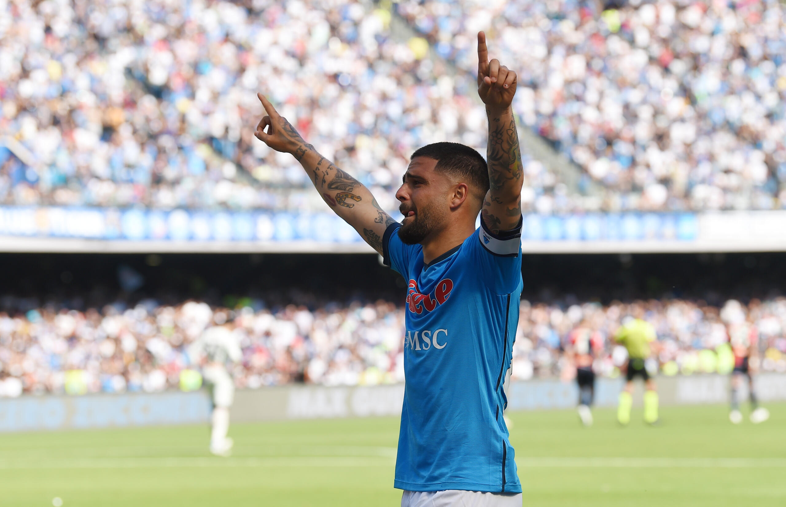 Insigne