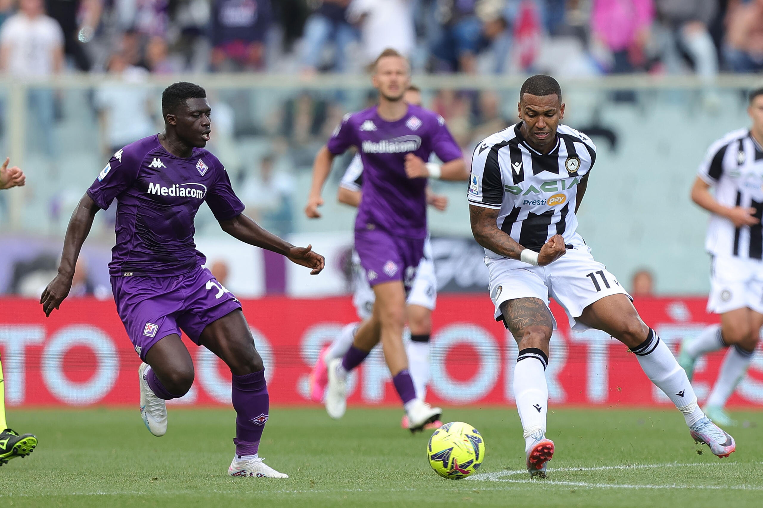 Fiorentina Udinese