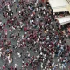 tifosi Fiorentina arrestati