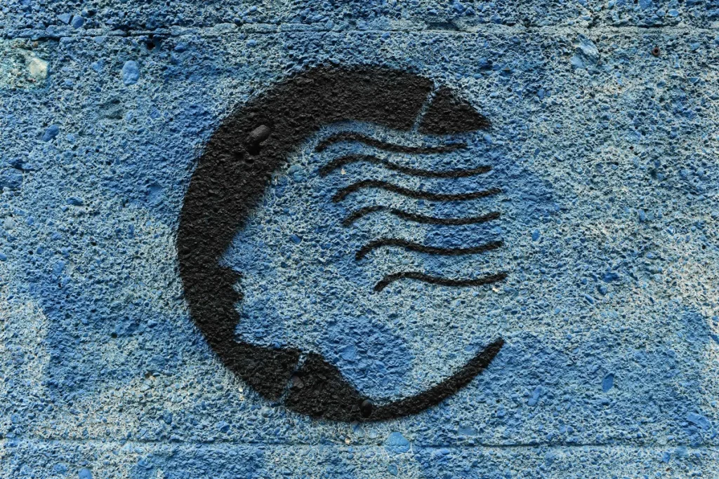Atalanta, ecco le maglie per la stagione 2023/24 – FOTO