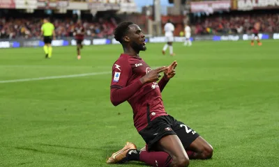 mercato fiorentina dia
