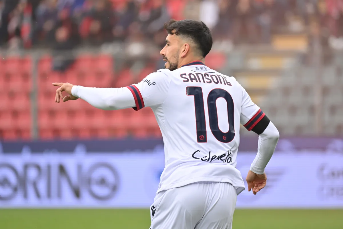 mercato bologna sansone