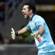 buffon