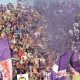 Fiorentina Gasperini