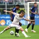 Inter-Fiorentina moviola