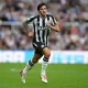 probabili formazioni Milan-Newcastle