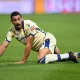 mercato verona