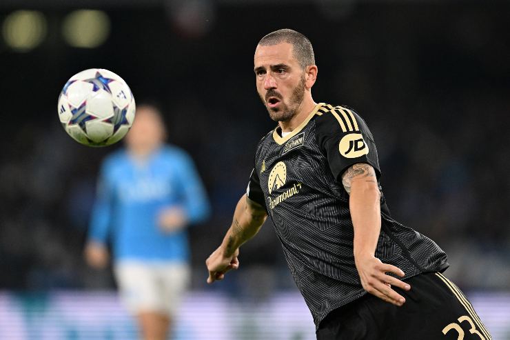 notizie bonucci