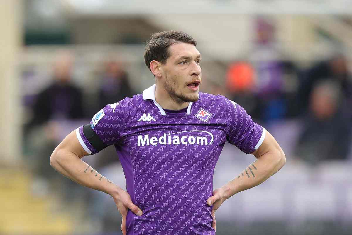 belotti