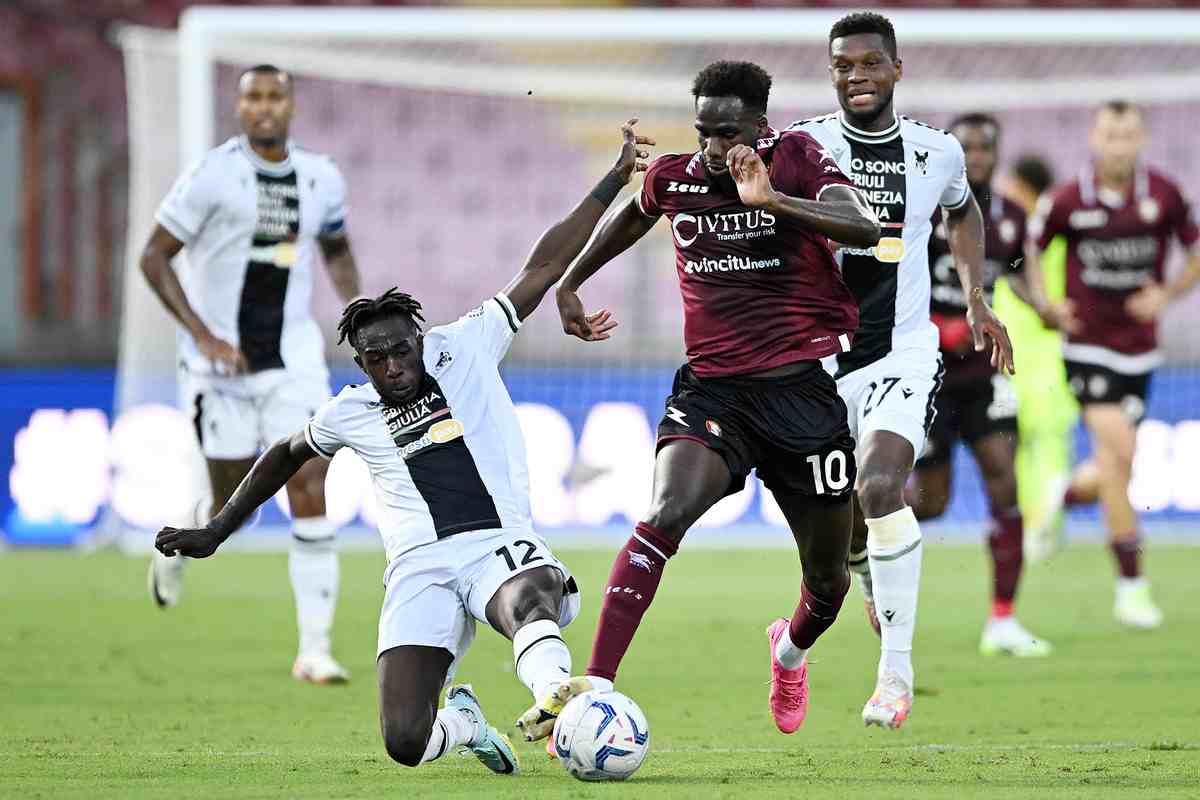 udinese salernitana