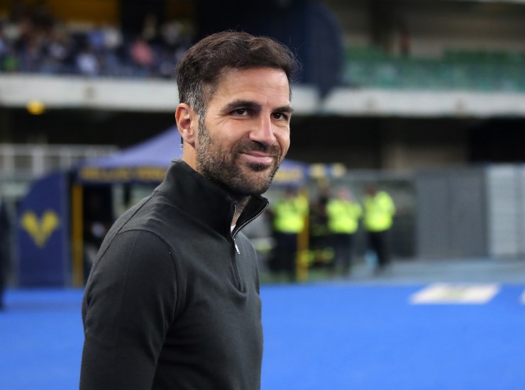 Cesc Fabregas